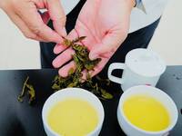 哪有那麼多頭等獎茶?  茶商以緬甸茶偽稱比賽頭等獎茶牟利