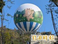 山羌、水鹿、熊？ 九九峰氦氣球「吉祥物」本尊揭秘