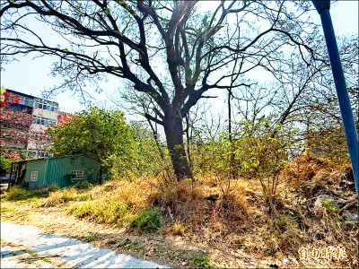 嘉市標售近2千坪抵費地