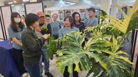 熱帶雨林暨觀葉植物大賞6日開展 同賞櫻花和觀葉植物之美