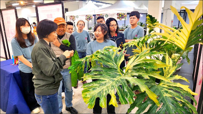 熱帶雨林植物大賞 週五暨大展出