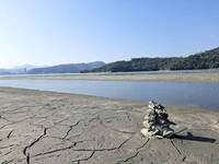 旱象拉警報！日月潭九蛙全現身 溪頭大學池乾涸見底