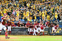 LTN投票箱》誰能阻擋樂天連霸  今年中職總冠軍是？