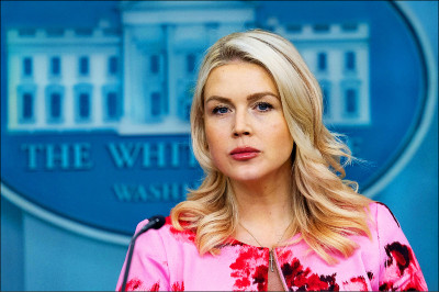 中英對照讀新聞》White House discussing ‘options’ to acquire Greenland