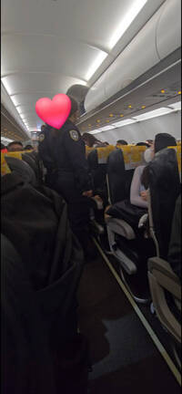 虎航旅客掌摑空服員 航警上機逮人