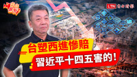 自由觀點》台塑西進慘賠 習近平十四五害的！