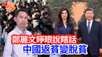 自由觀點》鄭麗文睜眼說瞎話 中國返貧變脫貧