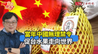 自由觀點》當年中國無理禁令 促台水果走向世界
