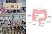 可愛髮圈叫「大腸束」？ 旅台日本網友喊崩潰 意外掀台灣世代論戰