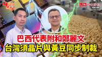 自由觀點》巴西代表附和鄭麗文  台灣須晶片與黃豆同步制裁