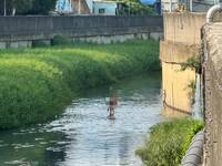 傻眼！ 男子騎機車上國道 飆30公里後墜橋在河裡游泳