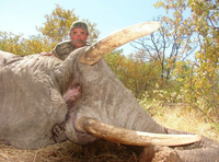 美國富豪赴非洲狩獵 遭象群踩踏慘死