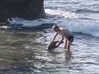 看不懂告示？中國男觸摸小琉球海龜 最重可判1年、罰30萬