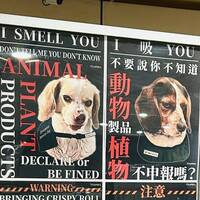 台灣護國神犬海報兇喊「I吸YOU」 反差萌翻逾80萬日本人