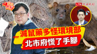 自由觀點》滅鼠藥多怪環境部 北市府慌了手腳