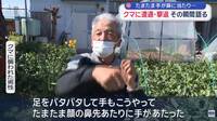 狂！河邊摘野菜遇擊 北海道78歲阿公「一拳KO」擊退棕熊