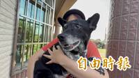 「陳美琪」找到了有給50萬？ 飼主發聲喊：要開始吃土了