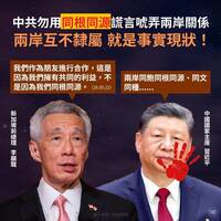 中共「同根同源」統戰遭李顯龍打臉 綠轟藍：附和「統一」匪夷所思