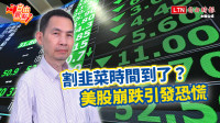 自由觀點》割韭菜時間到了？美股崩跌引發恐慌