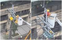 台電人員爬電桿拆除鳥巢  下秒「1舉動」暖爆數萬人！