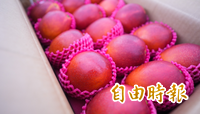 台灣芒果外銷法國飆天價仍秒殺 旅法作家橫跨巴黎終買到差點哭了！