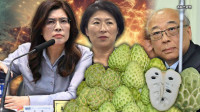自由爆新聞》挺中共擾台是護主權？國民黨吵「鳳梨釋迦」專家轟離譜