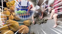 自由說新聞》噁！直擊中國黑心粽、發霉榴槤流竄！網怒酸：監管單位死了？