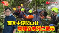 自由觀點》雨季中硬闖山林 蝴蝶谷的死亡啟示