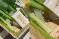 超噁！石二鍋菜盤驚見「蟑螂在產卵」 王品急道歉：停業3天清消