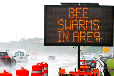 中英對照讀新聞》1 million bees make for bumper-to-buzzer traffic on a Tennessee highway ramp100萬隻蜜蜂造成田納西州一處公路匝道車流擁塞和群蜂飛舞
