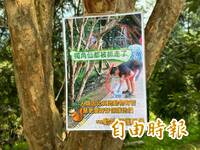 獨家》都被抓光了！台中「甲蟲星球」變空城 蹭飯蜂蝶也沒了