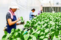 《TAIPEI TIMES》US exempts 2,231 Taiwanese products from new tariffs