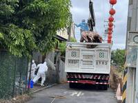 釀非洲豬瘟破口損失21億   台中陳姓豬農判1年6月、兒子判3年
