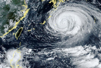 白海豚來襲！專家曝「豪大雨範圍」：海警機率超過85％