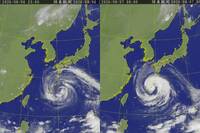 白海豚「回血」不再是麵糊！雲圖後續變化曝