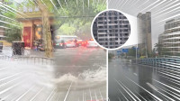 自由說新聞》上海變「航海」！白海豚橫掃中國高樓外牆突崩、官方聲明網怒了