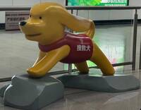 觸怒龍顏？南京地鐵搜救犬長這樣 中網PO照「違規」慘挨罰