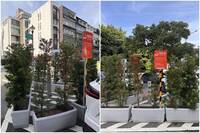 換都市叢林風？北市「監獄式」吸菸區還不夠 國父紀念館用花圃當隔間