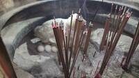 把天公爐當產房 宜蘭宮廷雞不畏香灰高溫堅持孵蛋讓人稱奇