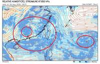 沙德爾復活？ 颱風「殘留環流」恐結合強對流  鄭明典：罕見新低壓