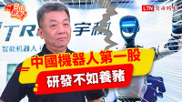 自由觀點》中國機器人第一股 研發不如養豬