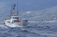 日本捕蝦船出海離奇消失！3人成浮屍 漁民不解：當時海象平穩