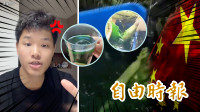 自由說新聞》小粉紅也看不下去！中國部落客怒揭甘肅「染色」毒蔬菜