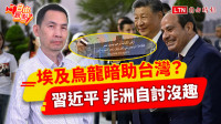 自由觀點》埃及烏龍暗助台灣？ 習近平非洲自討沒趣