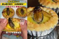 黑暗料理界傳人？ 中國廣東餐廳研發嘎嘣脆「水蟑螂蛋塔」