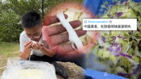 自由說新聞》廣東毒竹筍被爆是「科技與狠活」 網神酸：致癌率遙遙領先