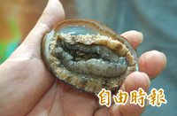 高中師發逗弄鮑魚影片引性暗示爭議 學生直呼噁心 校方證實已通報