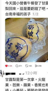 台北市3顆藍莓VS台南1顆甘露梨梨 營養午餐水果引南北論戰