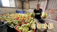 農產拚經濟2-2》青農李佳翰自拍影片分享日常 維繫消費者