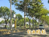 駕駛快看！測速照相「掉頭」 苗栗台6線將改抓東往西